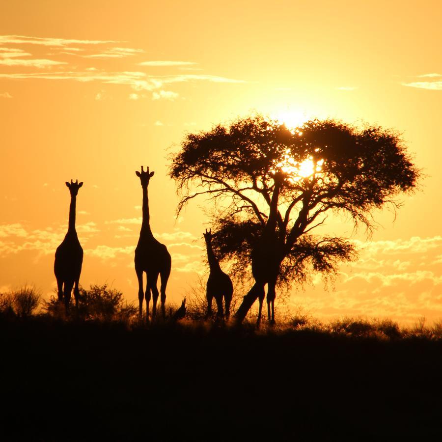 Kalahari Red Dunes Lodge Kalkrand Exteriér fotografie